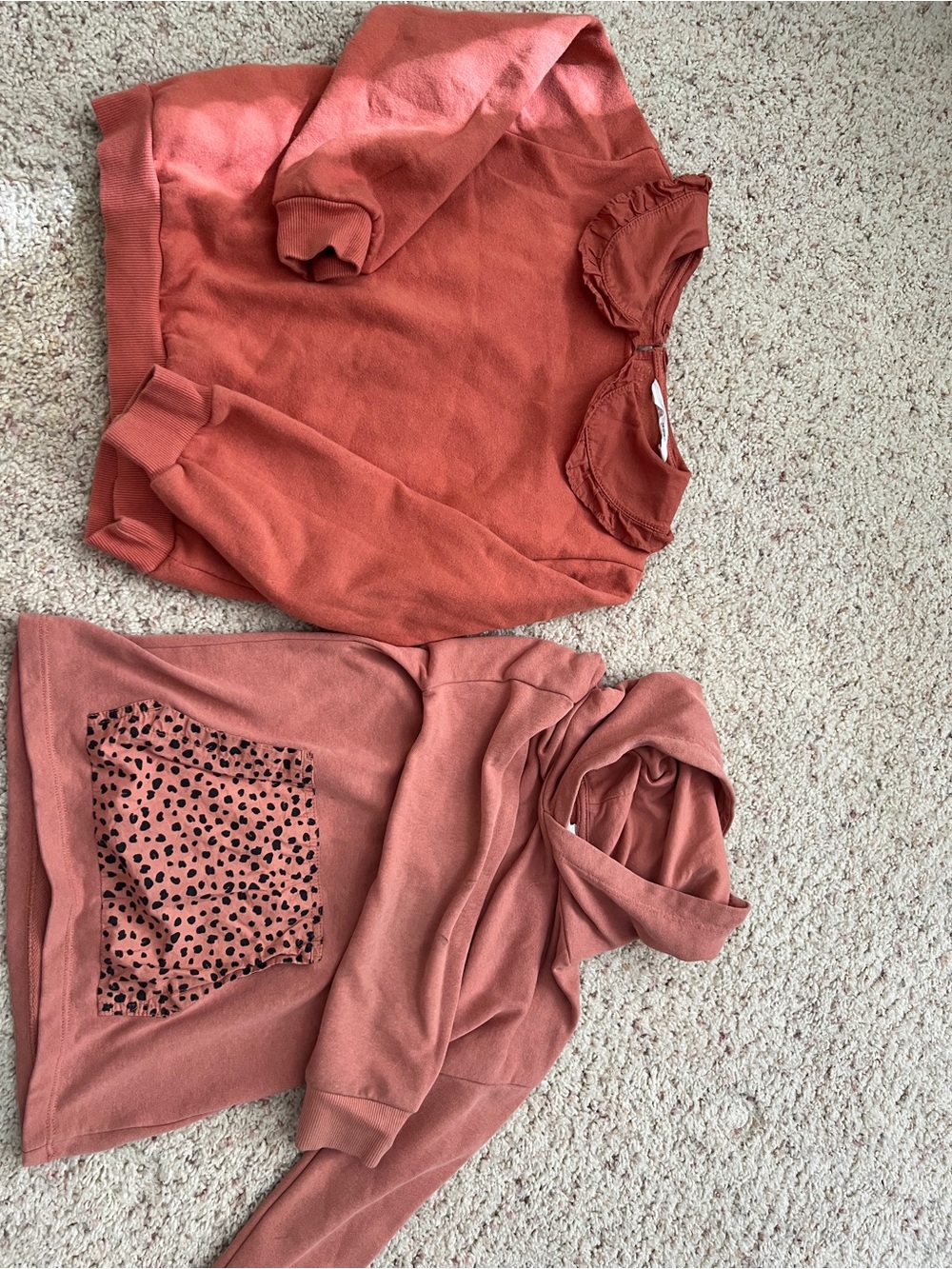 H&M Girls' Coral Long-Sleeve Top - Soft Crew & Hooded Pullover Set